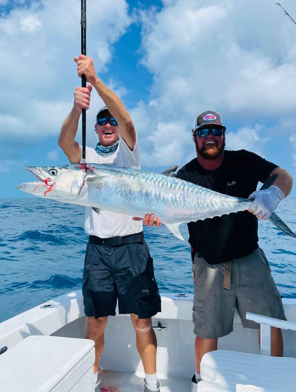 King mackerel