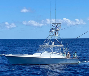 DirtyBoat 2.0 charter boat
