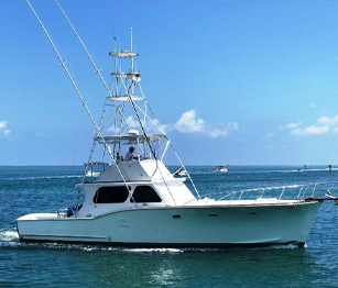 Phoebe charter boat