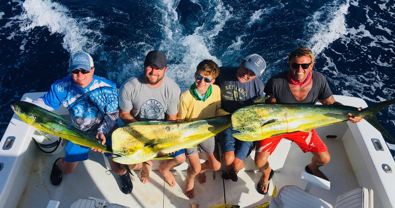 Mahi mahi catch
