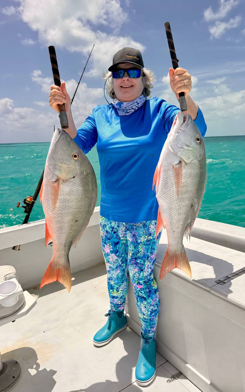 More mutton snappers