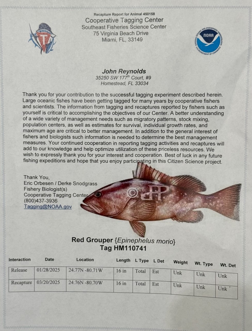 NOAA Cooperative Tagging Center recapture report for tagged Red Grouper HM110741