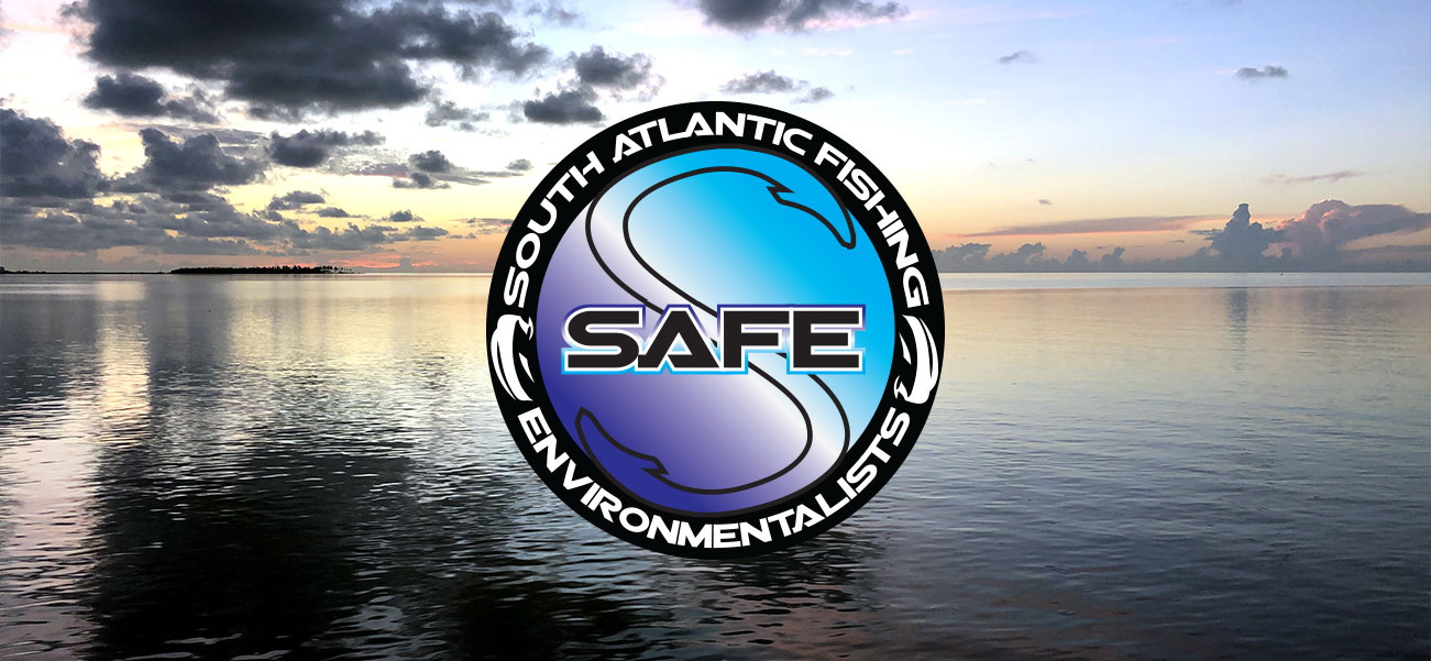 S.A.F.E. logo over sunrise